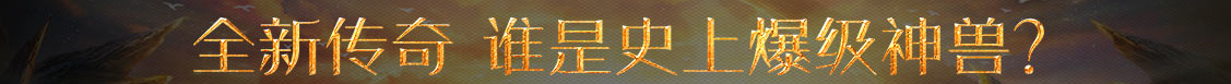 市场管理市场行